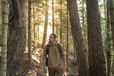 Genç adam ağaçların arasında tahta bir geçitte yürüyor. Yazın büyük ağaçları olan bir orman. Güneş ışığı ve parıltıları. Özgürlük ve güzel doğa konsepti. Sağlıklı aktiviteler. Seyahat..