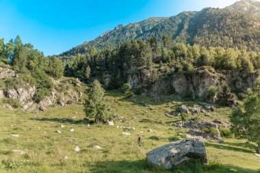 Turuncu gömlekli genç adam yeşil bir dağın tepesinde yürüyor ve manzaranın tadını çıkarıyor. Cennet çim dağı. Yaşam tarzı rahatlama ve özgürlük. Doğa kavramının güzelliği.