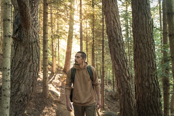 Young man walking down a wooden walkway through the woods. Forest with big trees at summer. Sunlight beams and flares. Freedom and beautiful nature concept. Healthy activities. Trekking.