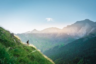 Genç adam yeşil bir dağın tepesinde gün batımında muhteşem manzara manzarasının tadını çıkarıyor. Cennet çim dağı. Yaşam tarzı rahatlama ve özgürlük. Doğa kavramının güzelliği.