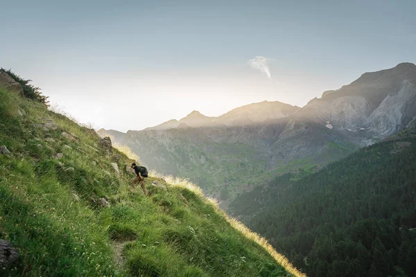 Jongeman Trekking Top Van Een Groene Berg Genieten Van Het — Stockfoto