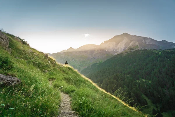 Jongeman Trekking Top Van Een Groene Berg Genieten Van Het — Stockfoto