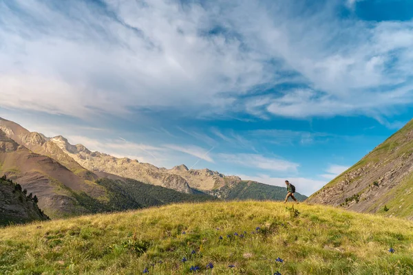 Jongeman Trekking Top Van Een Groene Berg Genieten Van Het — Stockfoto