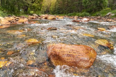 Orman sahnesini geçen kayalarla dolu güzel bir nehir. Macera yolculuğu konsepti. Duvar kağıdı arka plan doğa baskısı.