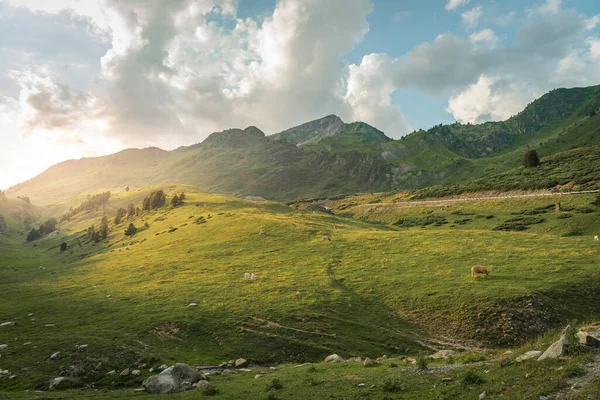 Gün Batımında Yüksek Dağlardaki Muhteşem Manzara Yeşil Çayır Dağların Üzerinde — Stok fotoğraf