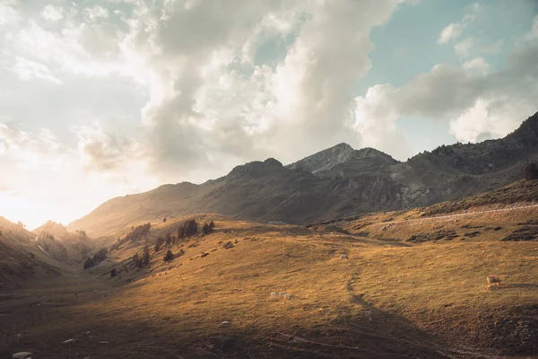 Verbazingwekkend Panorama Landschap Groene Weide Hoge Bergen Tijdens Zonsondergang Een — Stockfoto