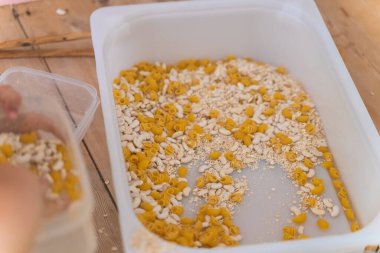 Bebek kuru makarna, bezelye ve odun kaşıklarıyla motor becerileri geliştirmek için oyun oynuyor..