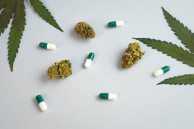 Beyaz arka planda CBD yağı, kapsüller ve kenevir tomurcukları. Organik ve doğal kenevir bazlı kozmetik ve güzellik ürünleri. Tıbbi kenevir konsepti. Alternatif tıp. Metin için alanı kopyala.