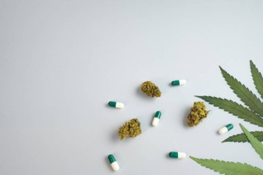 Beyaz arka planda CBD yağı, kapsüller ve kenevir tomurcukları. Organik ve doğal kenevir bazlı kozmetik ve güzellik ürünleri. Tıbbi kenevir konsepti. Alternatif tıp. Metin için alanı kopyala.