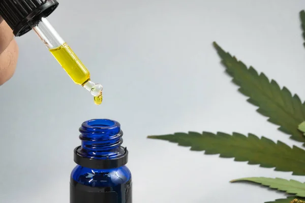 Aceite Cbd Cápsulas Capullos Cáñamo Sobre Fondo Blanco Productos Cosméticos — Foto de Stock