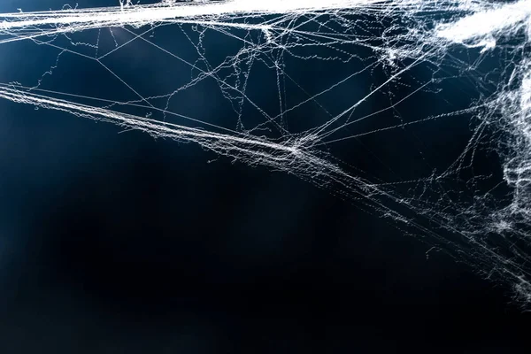 그물이나 거미줄 모양의 핼러윈 — 스톡 사진