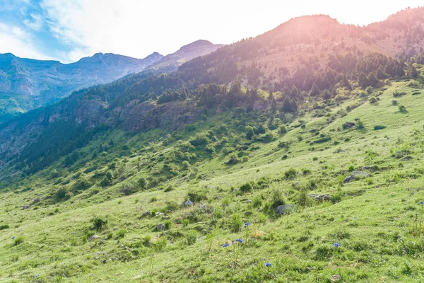 Gün Batımında Güzel Dağlar Manzarası Dağların Üzerinde Renkli Bir Gökyüzünün — Stok fotoğraf