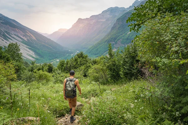 Jongeman Trekking Top Van Een Groene Berg Tussen Varens Genieten — Stockfoto