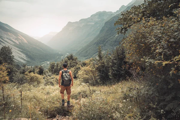 Young Man Trekking Top Green Mountain Ferns Enjoying Amazing Landscape — Stock Photo, Image