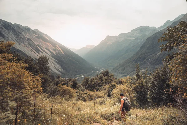 Jovem Caminhando Topo Uma Montanha Verde Entre Samambaias Desfrutando Das — Fotografia de Stock