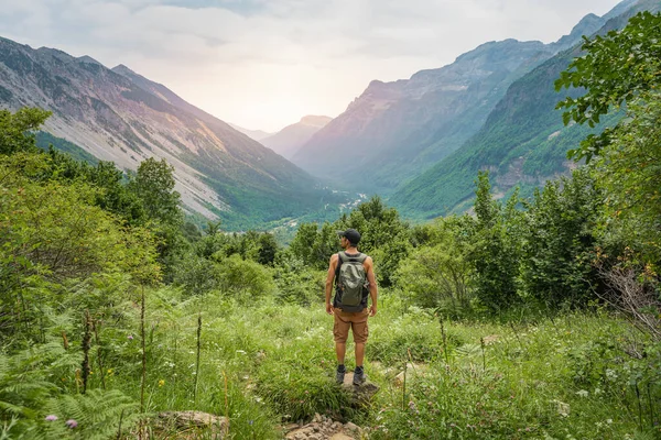 Jongeman Trekking Top Van Een Groene Berg Tussen Varens Genieten — Stockfoto