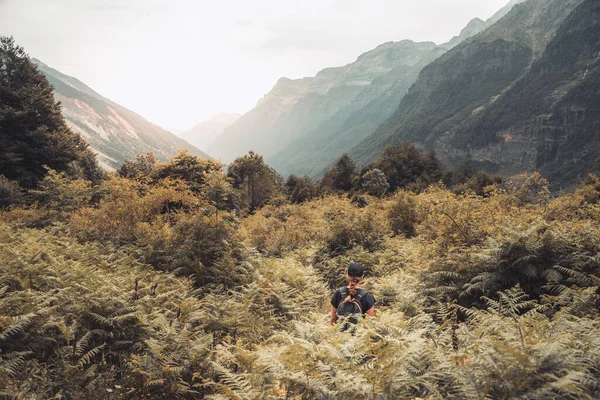 Jovem Caminhando Topo Uma Montanha Verde Entre Samambaias Desfrutando Das — Fotografia de Stock