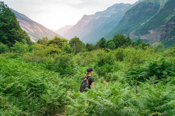 Jonge Vrouw Trekking Top Van Een Groene Berg Tussen Varens — Stockfoto