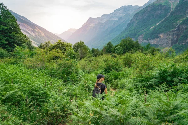 Jonge Vrouw Trekking Top Van Een Groene Berg Tussen Varens — Stockfoto