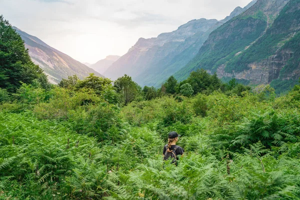 Jonge Vrouw Trekking Top Van Een Groene Berg Tussen Varens — Stockfoto