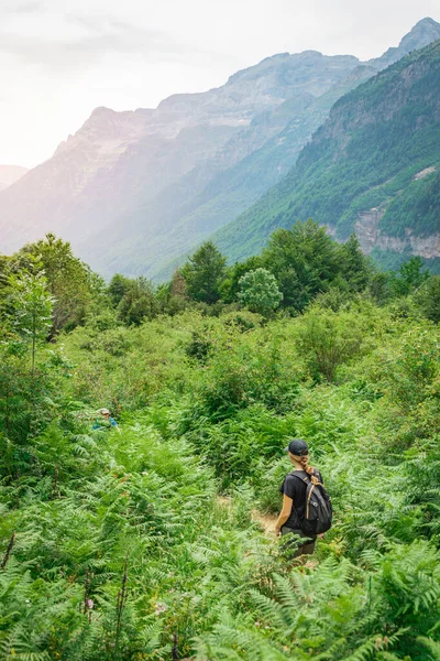 Jonge Vrouw Trekking Top Van Een Groene Berg Tussen Varens — Stockfoto