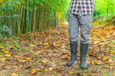 Sonbahar yaprakları arka planında çizmeleri ve kare gömlekli oduncu..