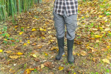 Sonbahar yaprakları arka planında çizmeleri ve kare gömlekli oduncu..