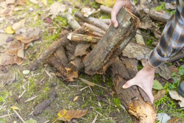 Sarı el arabasıyla sandık taşıyan bir adam. Oduncu Jack. Çizmeli ve kare gömlekli oduncu..