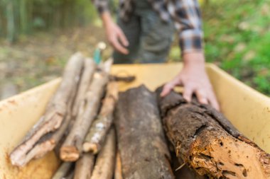 Sarı el arabasıyla sandık taşıyan bir adam. Oduncu Jack. Çizmeli ve kare gömlekli oduncu..