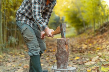 Adam baltayla kesiyor. Toz ve hareketler. Tahta testereli ağaç testeresi. Oduncu Jack. Kare gömlek.