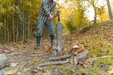 Adam baltayla kesiyor. Toz ve hareketler. Tahta testereli ağaç testeresi. Oduncu Jack. Kare gömlek.
