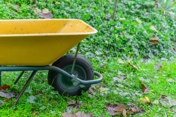 Piękna Żółta Taczka Jesienne Tło Liśćmi Drwal Koncepcja Drewna — Zdjęcie stockowe