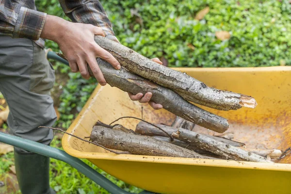 Muž Pohybující Žlutém Kolečku Dřevorubec Dřevorubec Botami Hranatou Košilí — Stock fotografie