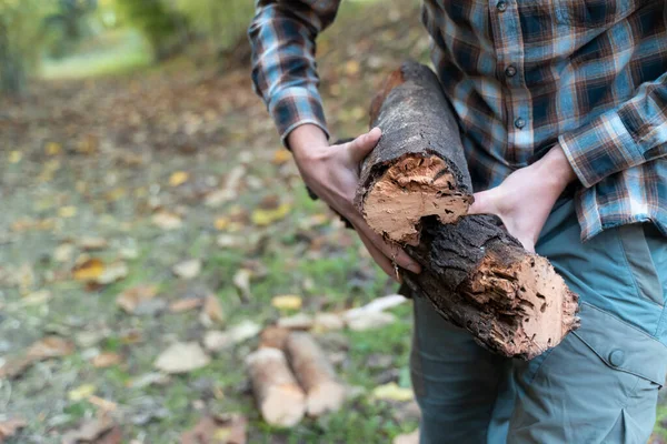 Mann Bewegt Baumstämme Auf Seiner Gelben Schubkarre Holzfäller Holzfäller Mit — Stockfoto