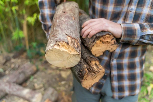 Man Flyttar Stammar Sin Gula Skottkärra Skogshuggare Träskärare Med Stövlar — Stockfoto