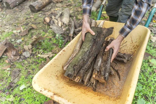 Man Moving Trunks His Yellow Wheelbarrow Lumberjack Woodcutter Boots Square — Stock Photo, Image