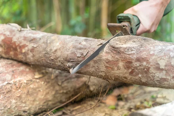 Hombre Leñador Cortando Con Sierra Eléctrica Polvo Movimientos Árbol Sierras —  Fotos de Stock