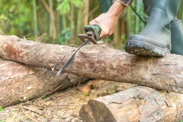 Homem Lenhador Cortando Com Serra Elétrica Movimentos Serras Woodcutter Árvore — Fotografia de Stock