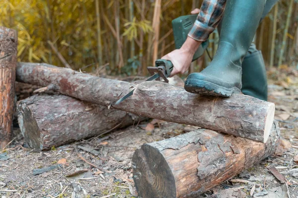 Hombre Leñador Cortando Con Sierra Eléctrica Polvo Movimientos Árbol Sierras —  Fotos de Stock