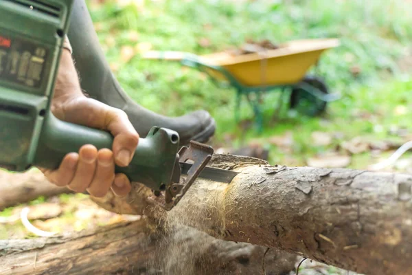 Hombre Leñador Cortando Con Sierra Eléctrica Polvo Movimientos Árbol Sierras — Foto de Stock