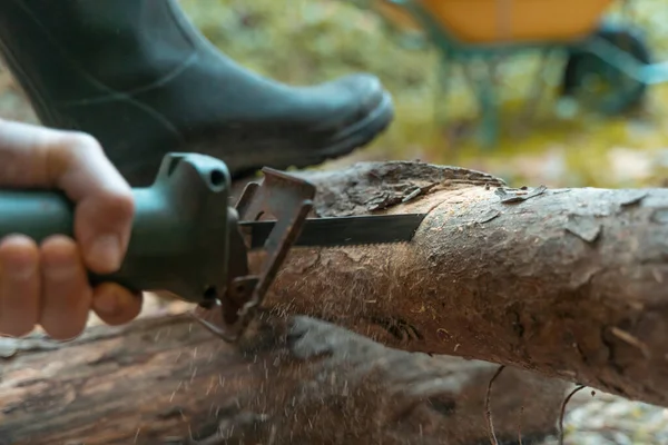Lumberjack Man Cutting Electric Saw Dust Movements Woodcutter Saws Tree — Stock Photo, Image