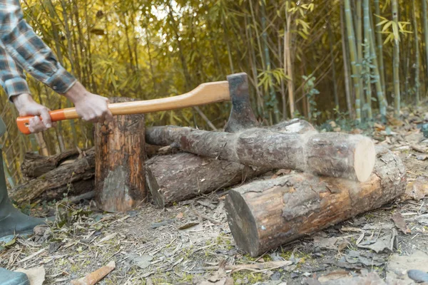 Hombre Cortando Con Hacha Polvo Movimientos Sierra Madera Árbol Con — Foto de Stock