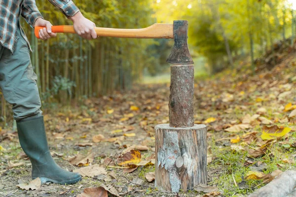 Hombre Cortando Con Hacha Polvo Movimientos Sierra Madera Árbol Con — Foto de Stock