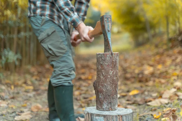 Man Cutting Dust Movements Woodcutter Saws Tree Chainsaw Sawmill Lumberjack — Stock Photo, Image
