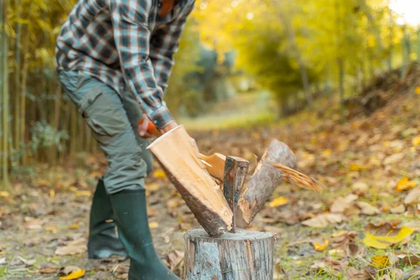 Mann Schneidet Mit Axt Staub Und Bewegungen Holzfäller Sägt Baum — Stockfoto