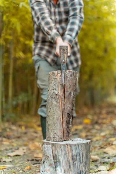 Человек Режет Топором Пыль Движения Дерево Лесопилки Бензопилой Лесопилке Лесоруб — стоковое фото