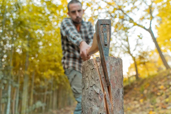 Człowiek Tnący Siekierą Pył Ruchy Piła Drewna Piłą Łańcuchową Tartaku — Zdjęcie stockowe