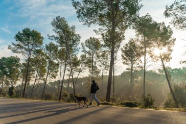 Genç adam köpeğiyle doğada eğleniyor. Güneş ışınlarıyla, sıcak ve uzun gölgelerle. Arkadaşlık ve hayvani aşk kavramı.