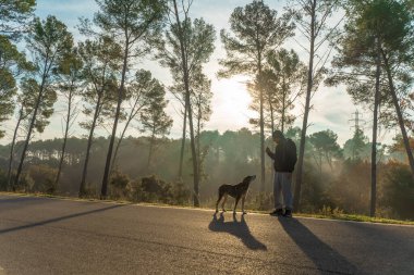 Genç adam köpeğiyle doğada eğleniyor. Güneş ışınlarıyla, sıcak ve uzun gölgelerle. Arkadaşlık ve hayvani aşk kavramı.
