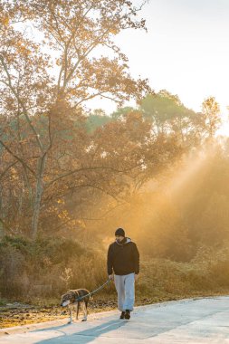 Genç adam köpeğiyle doğada eğleniyor. Güneş ışınlarıyla, sıcak ve uzun gölgelerle. Arkadaşlık ve hayvani aşk kavramı.